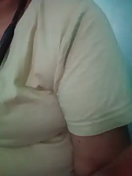 Hansikatelugu webcam