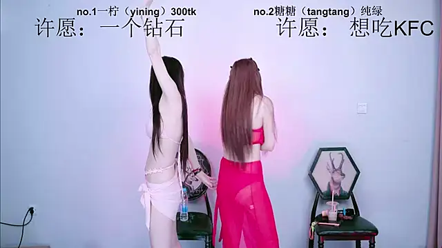 CCTW-100 webcam