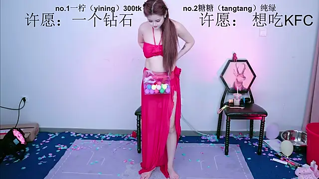 CCTW-100 webcam