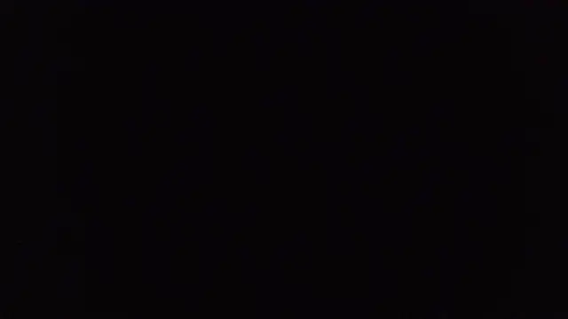 BuckWessle webcam