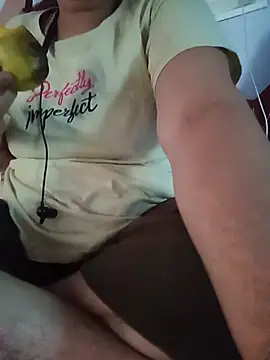 Hansikatelugu webcam