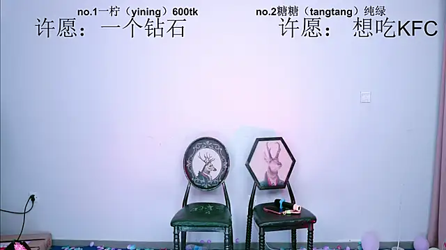 CCTW-100 webcam
