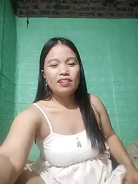 opna43 webcam