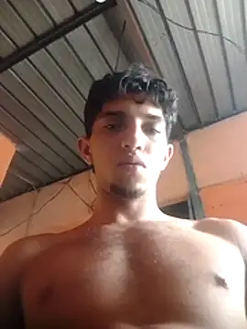 Noscay webcam