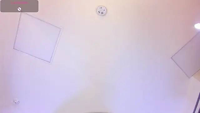 cocoamore webcam