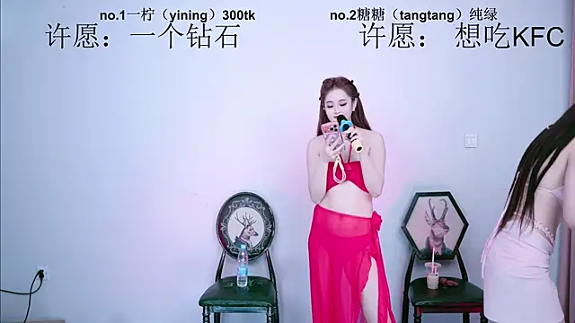 CCTW-100 webcam