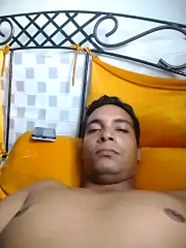 StepwiseWavering webcam