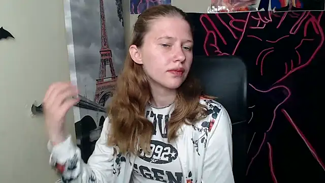 StellaCRL webcam