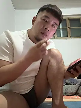 sdzx520 webcam