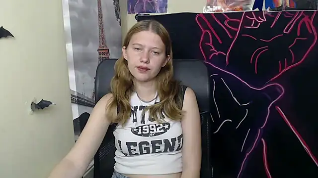 StellaCRL webcam