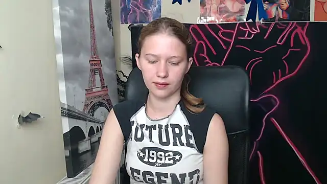 StellaCRL webcam