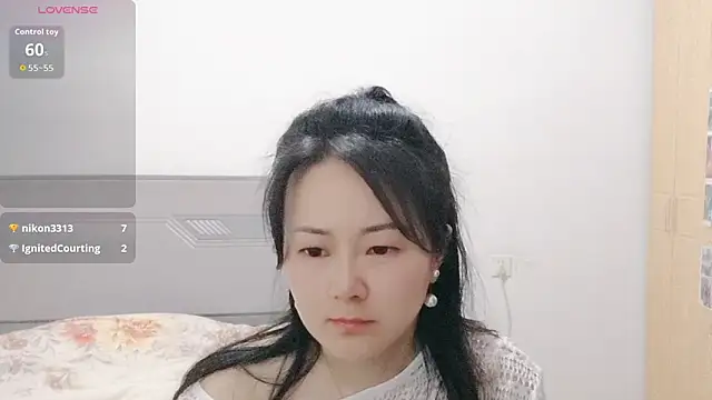 fanfan-FF webcam
