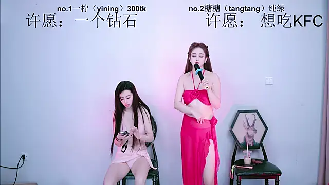 CCTW-100 webcam