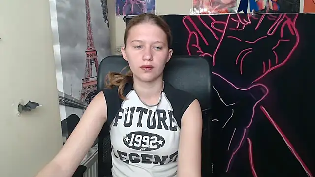 StellaCRL webcam