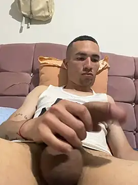 Renylop webcam