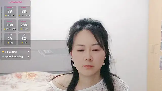 fanfan-FF webcam