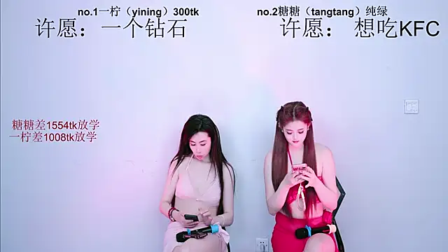 CCTW-100 webcam