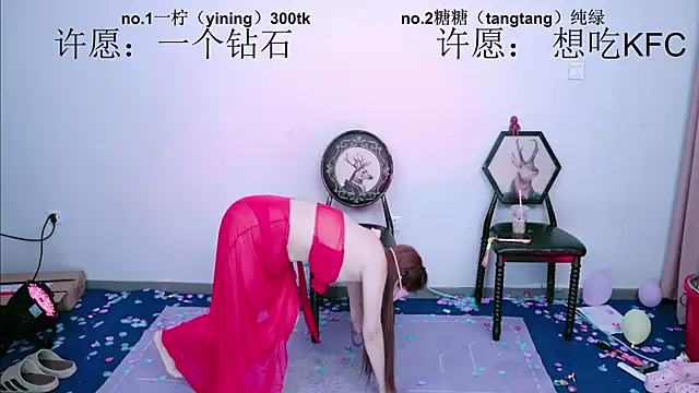 CCTW-100 webcam