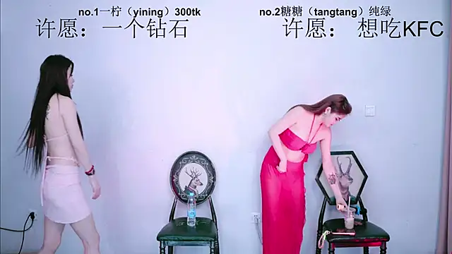 CCTW-100 webcam