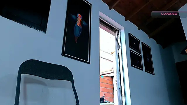 SilvaBranko webcam