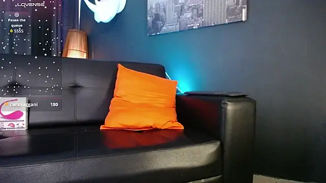 Zed_ferrer webcam