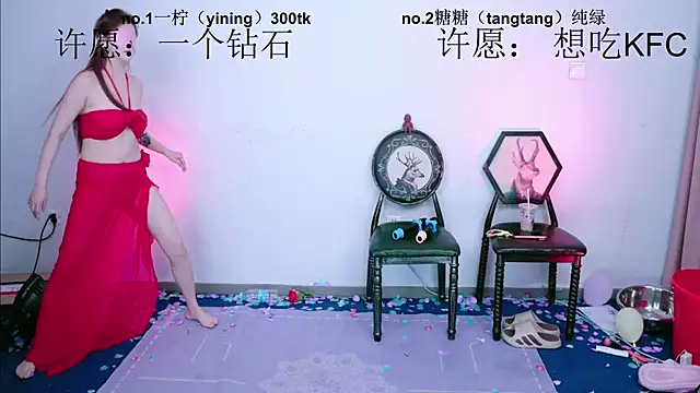 CCTW-100 webcam