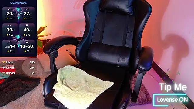 Sarasavage webcam