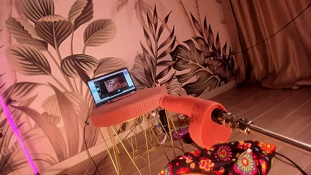 sugar-mirie webcam