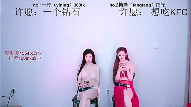 CCTW-100 webcam