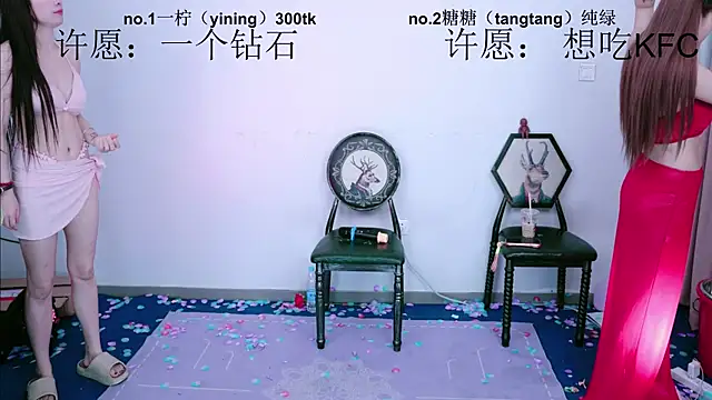 CCTW-100 webcam
