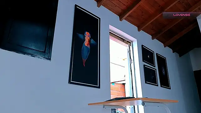 SilvaBranko webcam