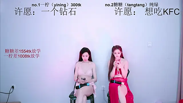 CCTW-100 webcam