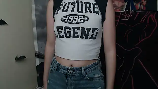 StellaCRL webcam