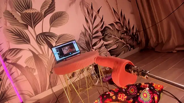 sugar-mirie webcam