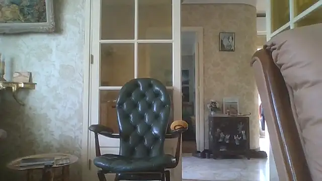 gegevincent5 webcam