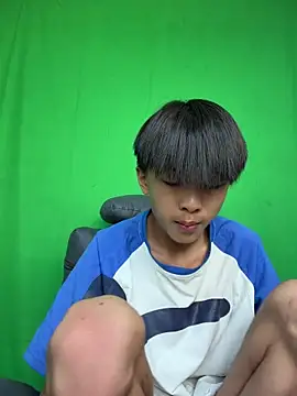 DD-101 webcam