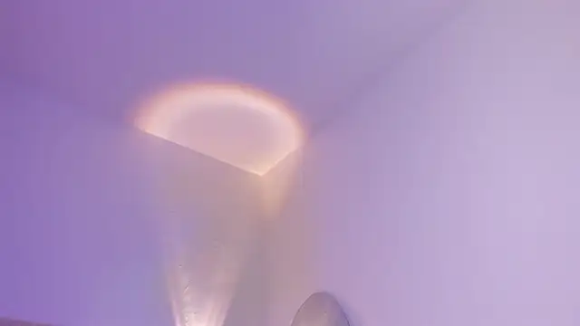 ada_lee1 webcam