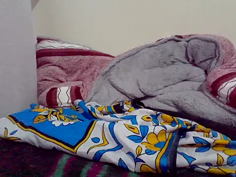 Tashna webcam