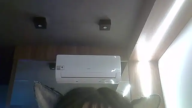 SkinnyKitten webcam