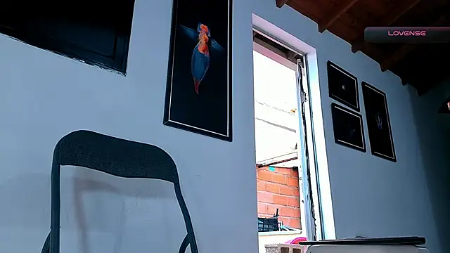 SilvaBranko webcam