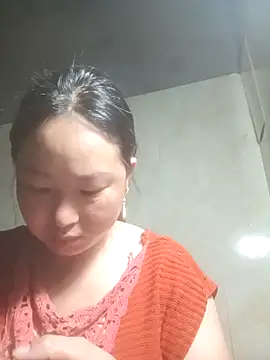 npmen webcam