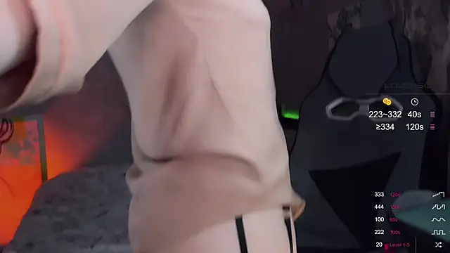 Alaska_ya webcam