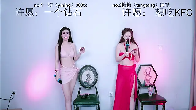 CCTW-100 webcam