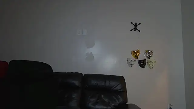 Zander823 webcam