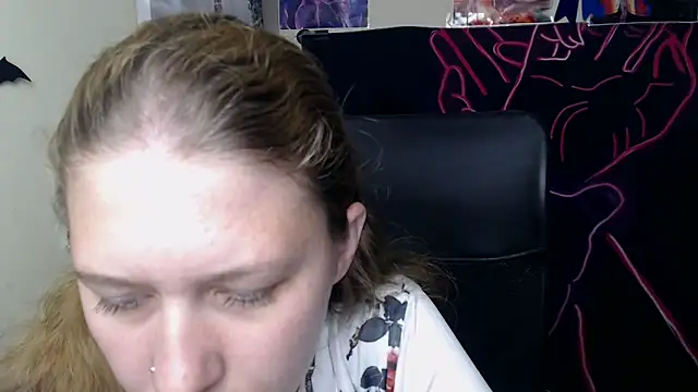 StellaCRL webcam