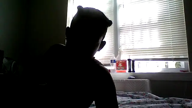 BedazedFirefly webcam