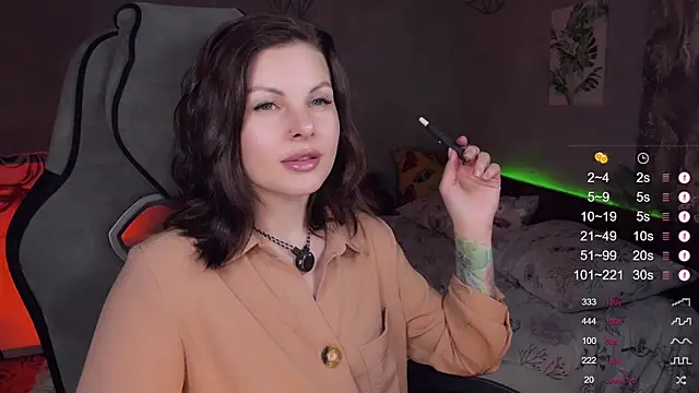 Alaska_ya webcam