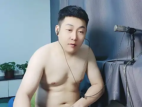 Llpl322 webcam