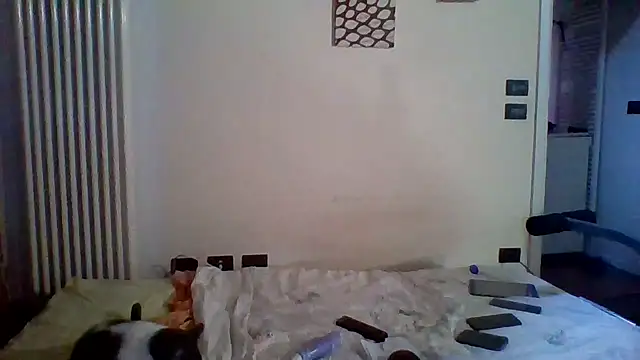 woww791 webcam