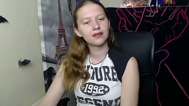 StellaCRL webcam